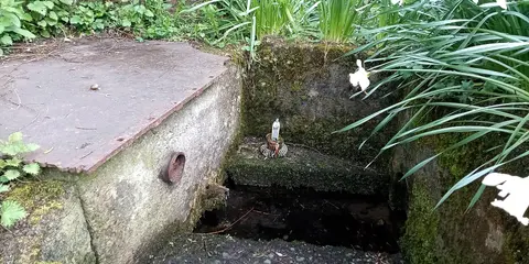 Saint Molagga's Well
