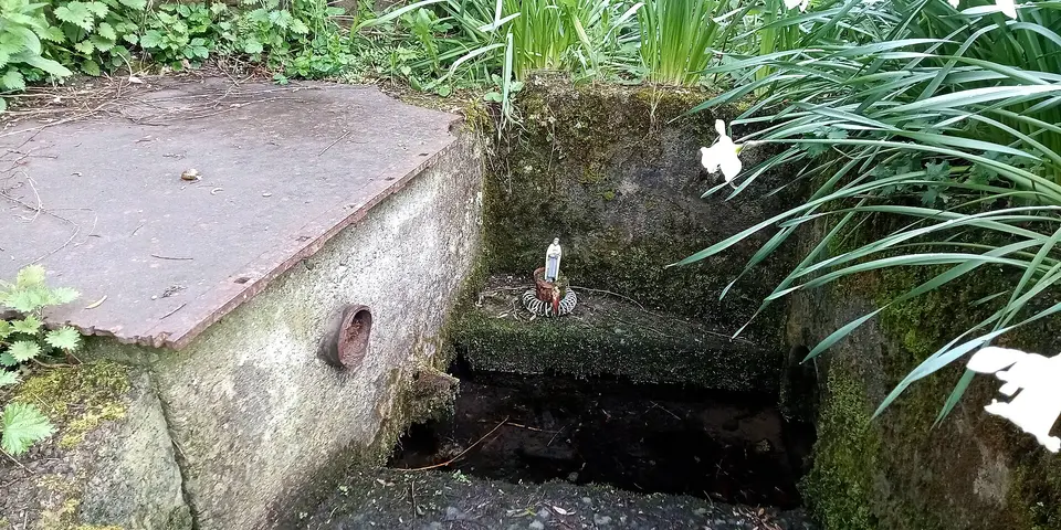 Saint Molagga's Well