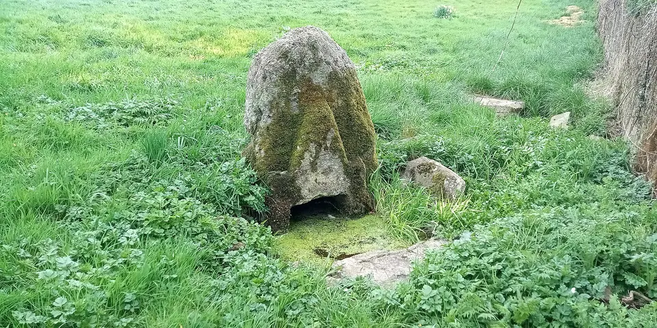 St Nicholas's Well, Killamery