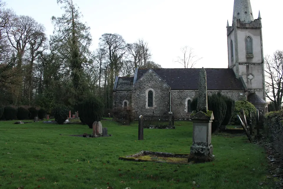 On the demesne of Harristown House, County Kildare
