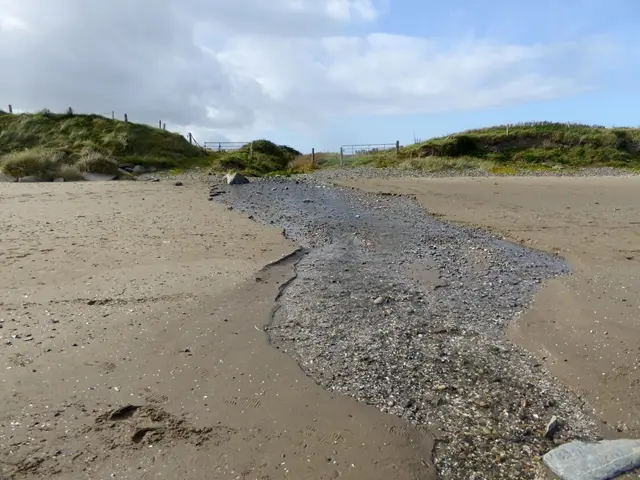 Stream on the beach
