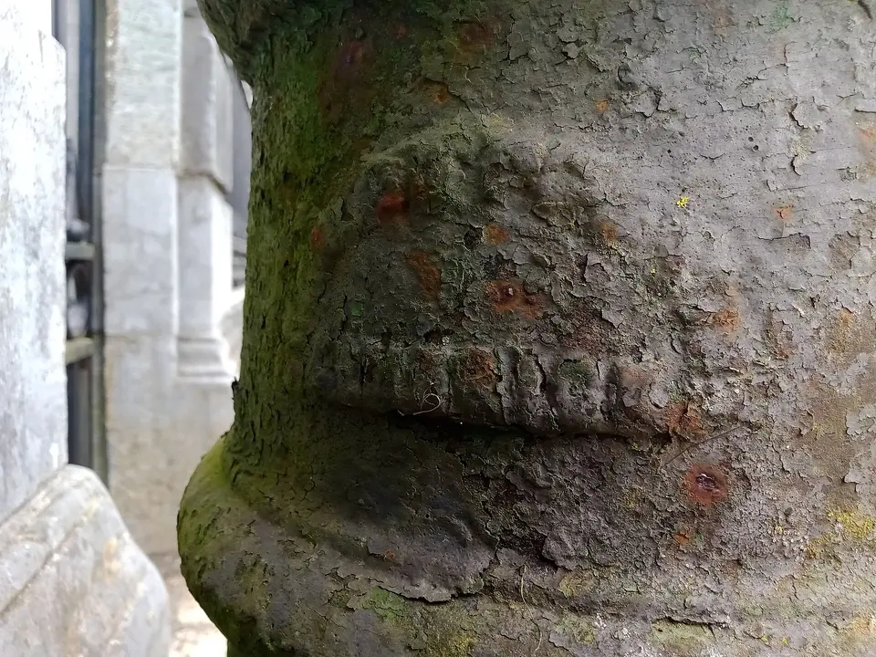stump of a sewer vent outside the Creamery House in Castlecomer (now Lady Anne restaurant). The maker's mark is not very accessible, but is by Shannon Foundry Limerick.