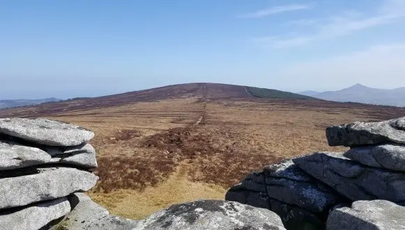 Summit of Prince William's Seat from Tor near Knocknagon, Wicklow, Ireland