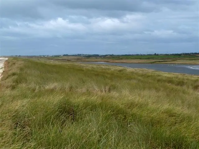 Tacumshane Lake