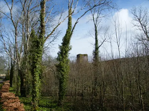 Templemichael Castle