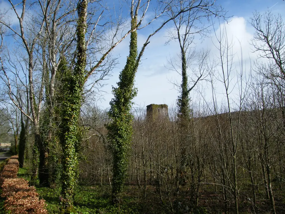 Templemichael Castle