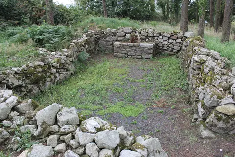 St. Mullins Early Medieval Ecclesiastical Site