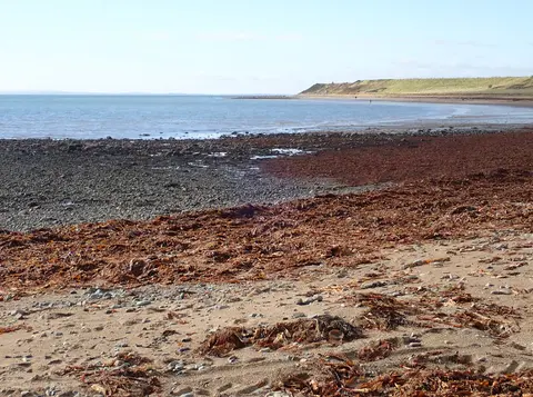 Templetown Beach