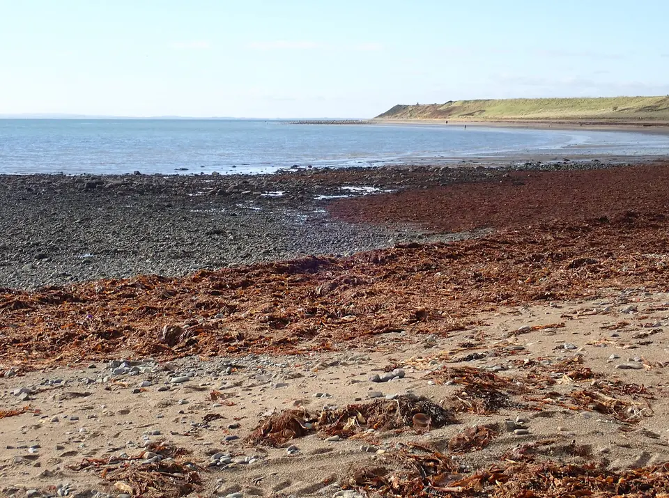 Templetown Beach