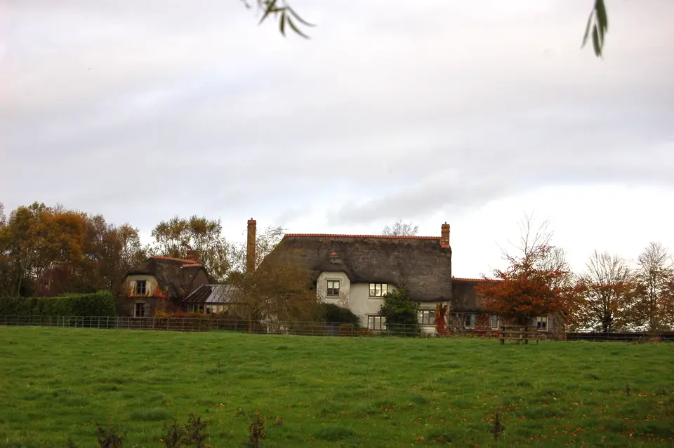 Modern thatched house in the townland of Ardreagh, Urlingford, Co. Kilkenny
