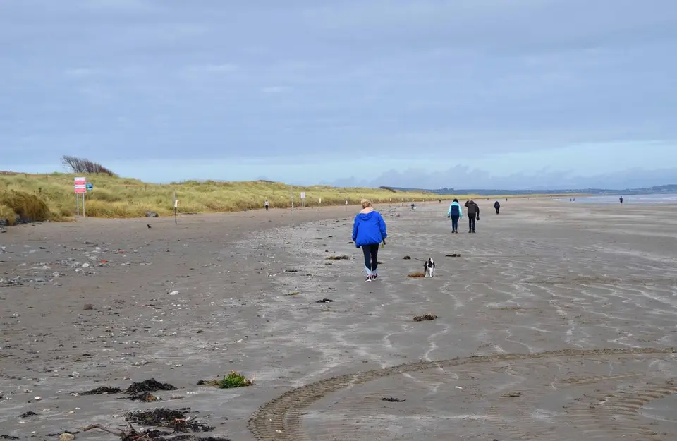 The beach (1), Bettystown, Co. Meath