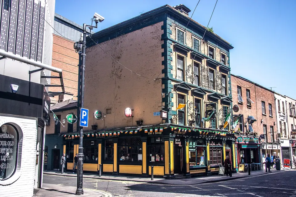 The Hairy Lemon Pub (Lower Stephen Street - Dublin)