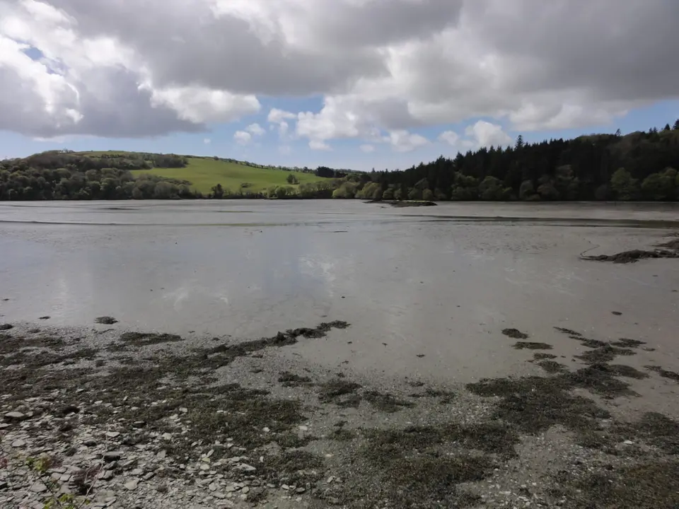 The head of Glandore harbour