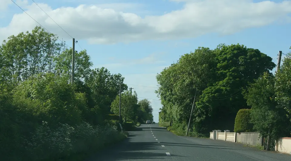 The R371, County Roscommon (2)
