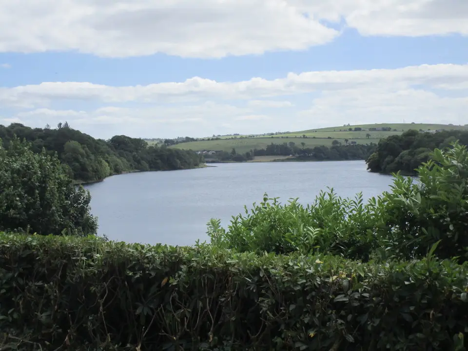 The River Lee (Inishcarra Reservoir)