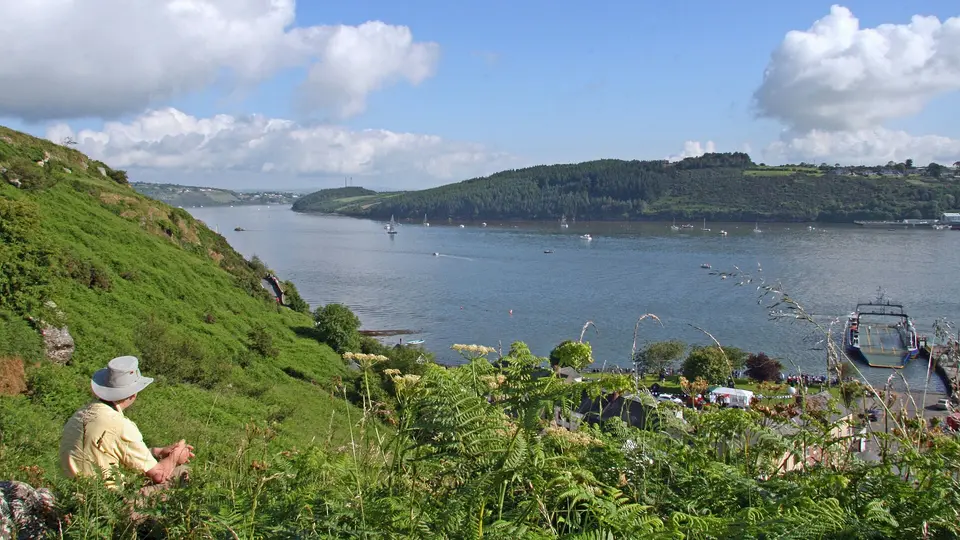 The river Suir at Passage East
