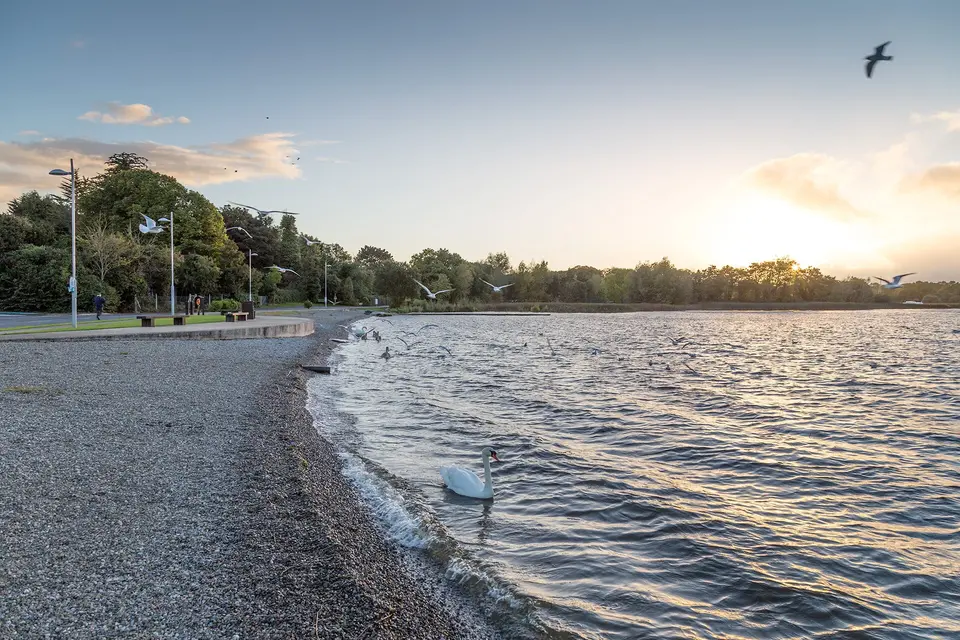 The shore at Dromineer
