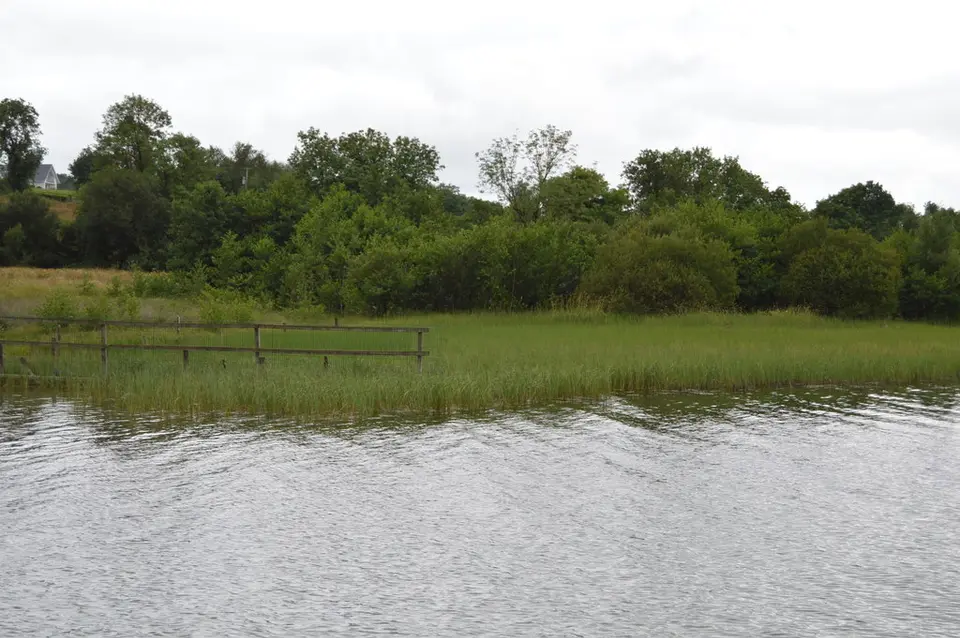 The shoreline of Lough Lene