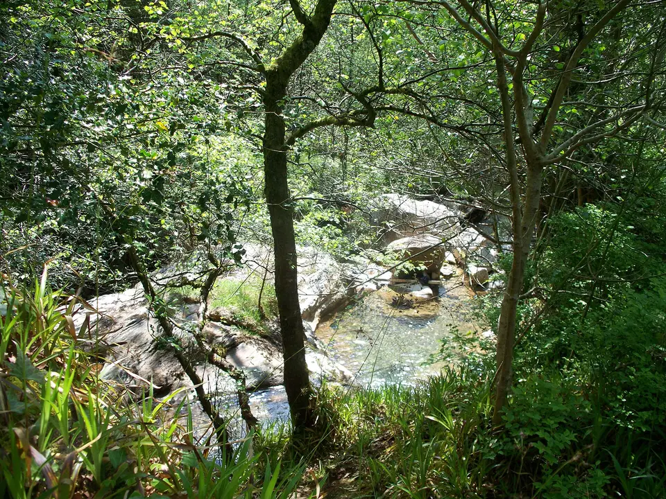 The stream below Coolalingo Bridge