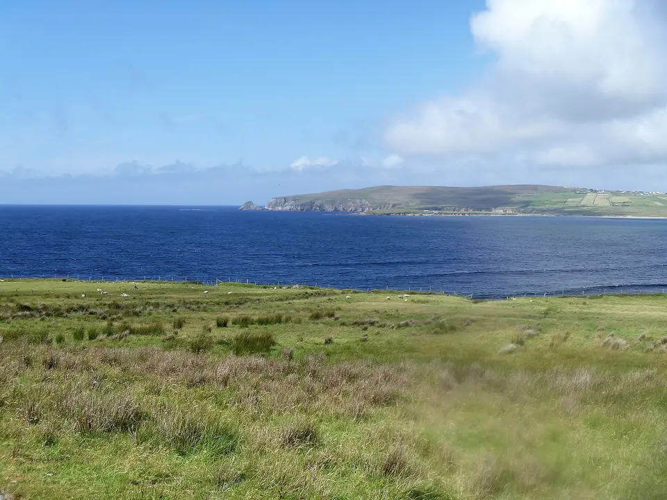 The view from the road [2]