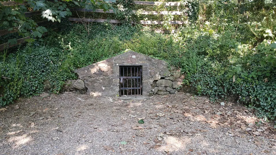 Tintern Lady's Well