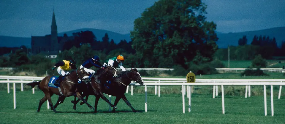 Tipperary Races First Race at 2.30 p.m. Close to Finish 1999 09 09