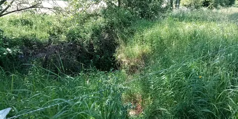 Toberbride in its electric fence enclosure