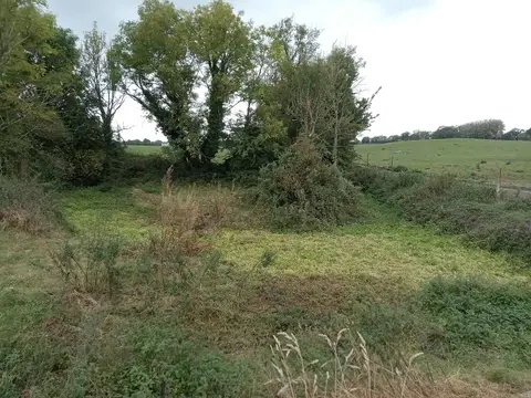 Toberpatrick (holy well in Tubbrid Upper, Co. Kilkenny) - the bright green part. It was very dry that day, we were able to walk through it.