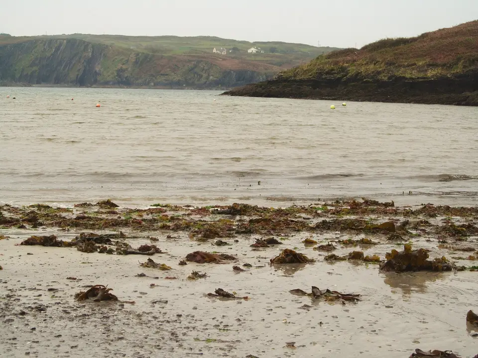Tralispeen beach
