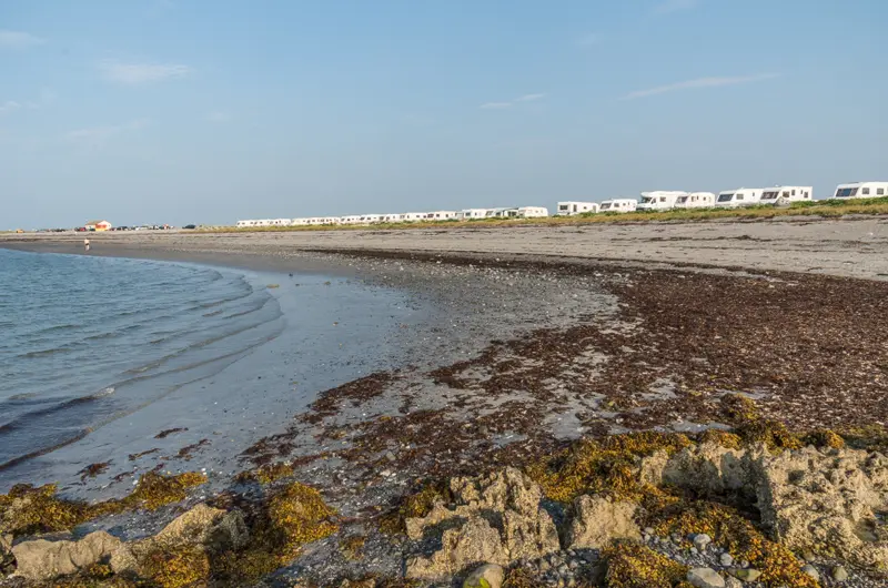 Traught Beach