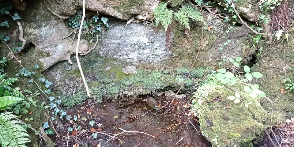 Trinity Well at Ballyrafton