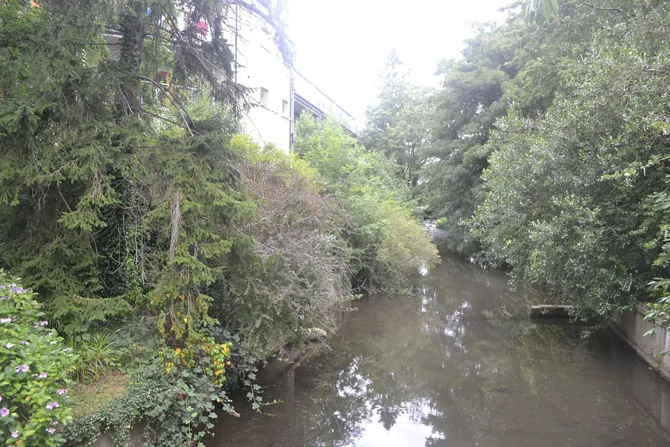 Upstream view of River Vartry