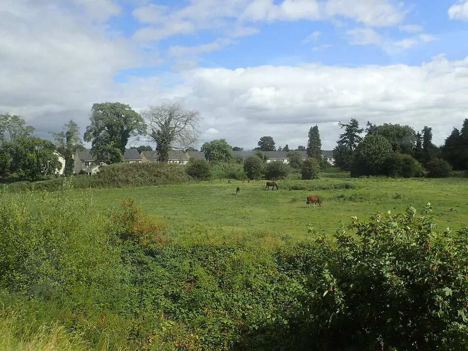 View from the train