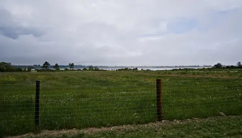 View towards Rogerstown Estuary, with grassland in the foreground.