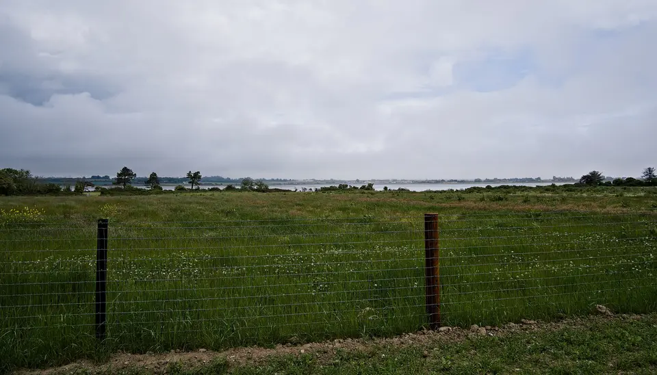 View towards Rogerstown Estuary, with grassland in the foreground.