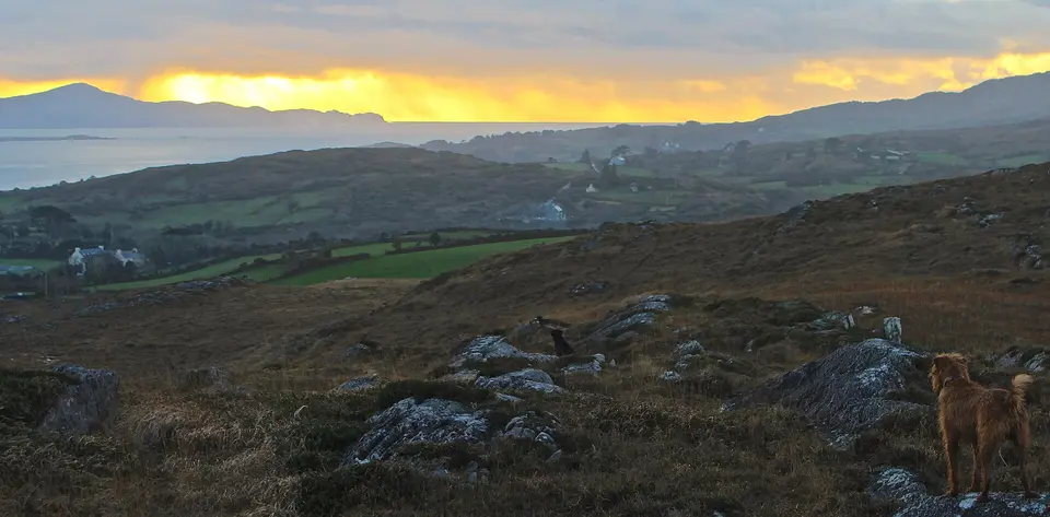 Walks, views... and a dog