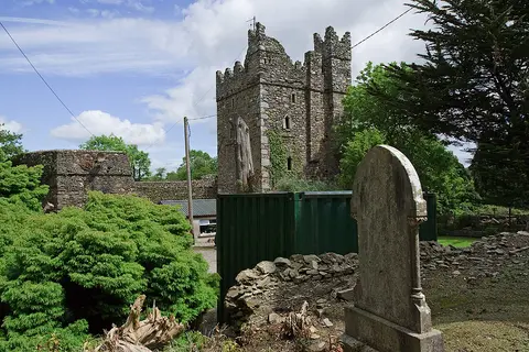 Castles of Leinster: Rathmacnee, Wexford